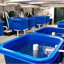 Aquaponics