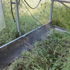 Rubber End Wall Belting