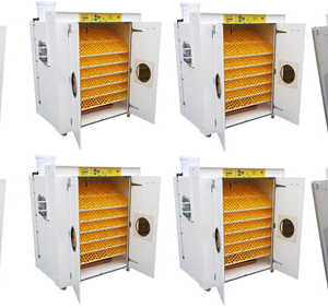 16000 Egg Hatchery - Produce 4320 chicks per week - SH16000 Chick Hatchery