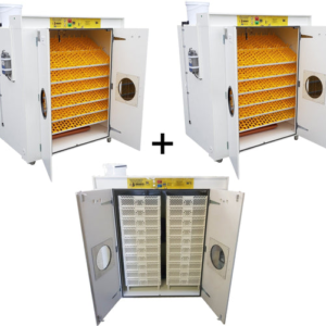 6000 Egg Hatchery - Produce 1440 chicks per week - SH6000 Chick Hatchery