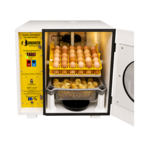 60 Egg Incubator and Hatcher - Fully Automatic Digital Surehatch SH60