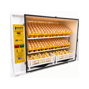 SH680 Automatic Digital Egg Incubator and Hatcher for 680 eggs